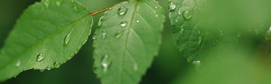 ������ϴ�C�Ļ�